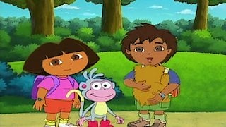 Watch Dora the Explorer Season 3 Episode 5 - Meet Diego Online Now