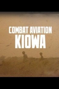 Combat Aviation