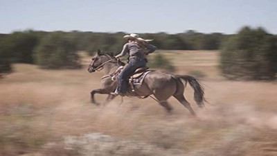 Shooting Gallery Season 19 Episode 8