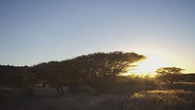 Shooting Gallery Season 19 Episode 13