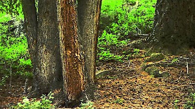 #RichKids of Beverly Hills Season 2 Episode 8