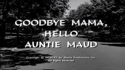 Naked City Season 3 Episode 33