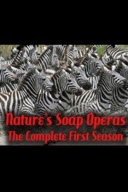 Nature's Soap Operas