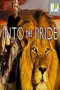 Into The Pride