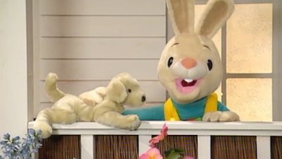 Watch Vocabulary And Numbers With Harry The Bunny Season 1 Episode 3 - Out  u0026 About Online Now