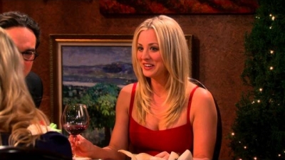 The Big Bang Theory, Best of Relationships Season 1 Episode 9