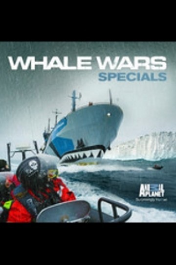 Watch Whale Wars, Specials Streaming Online - Yidio