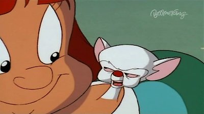 Pinky and the Brain - streaming tv show online
