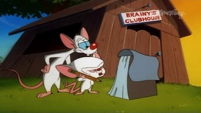 Pinky, Elmyra & The Brain Season 4 Episode 5