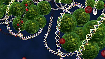 NOVA scienceNOW Season 1 Episode 1