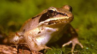 NOVA scienceNOW Season 1 Episode 2