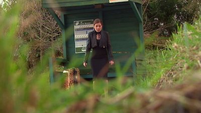 Hollyoaks Season 24 Episode 361