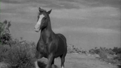 The Adventures of Champion Season 1 Episode 13