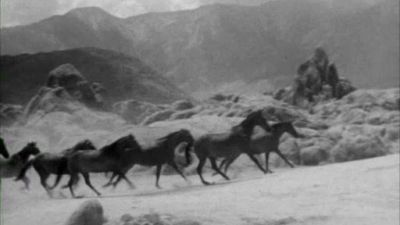 The Adventures of Champion Season 1 Episode 6