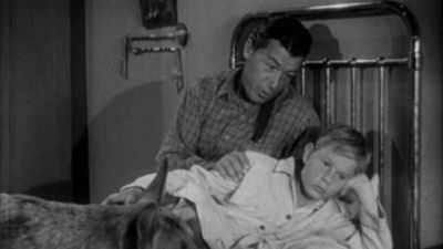 The Adventures of Champion Season 1 Episode 11