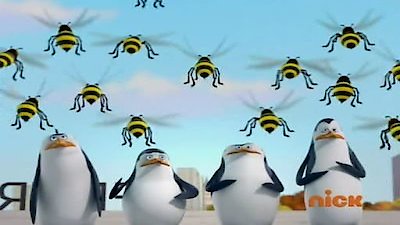 The Penguins of Madagascar Season 1 Episode 36