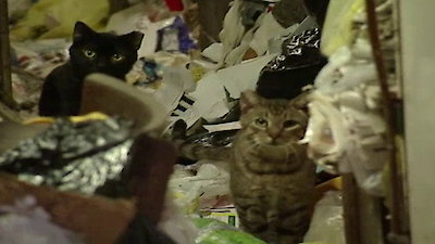 Hoarders Season 5 Episode 3