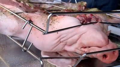 Bizarre Foods America Season 8 Episode 3