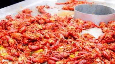 Bizarre Foods America Season 8 Episode 7