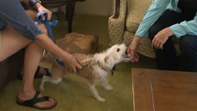 Cesar 911 Season 2 Episode 100