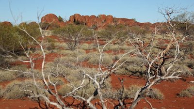 Australia's Wild Places Season 1 Episode 1