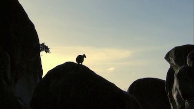 Australia's Wild Places Season 1 Episode 5