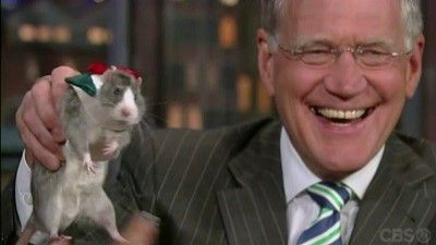 Late Show with David Letterman Season 18 Episode 95