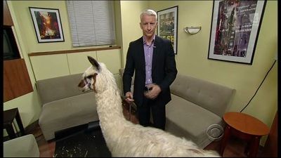 Late Show with David Letterman Season 18 Episode 137