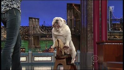 Late Show with David Letterman Season 19 Episode 65