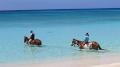 Caribbean Life Season 10 Episode 5