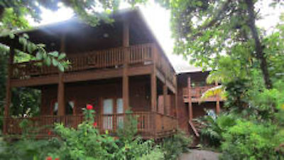 Caribbean Life Season 12 Episode 13