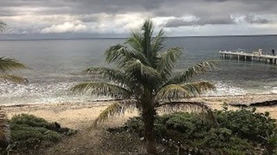 Caribbean Life Season 13 Episode 2
