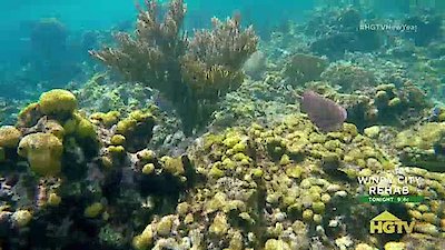 Caribbean Life Season 15 Episode 1