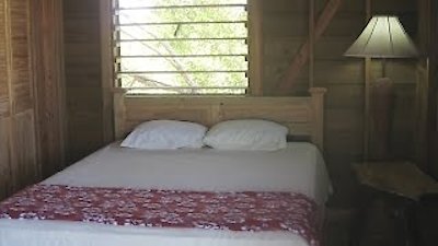 Caribbean Life Season 4 Episode 6