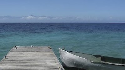 Caribbean Life Season 4 Episode 8