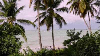 Caribbean Life Season 5 Episode 8