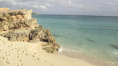 Caribbean Life Season 6 Episode 7