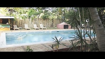 Caribbean Life Season 6 Episode 9