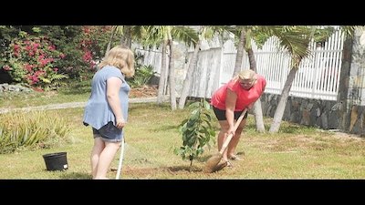 Caribbean Life Season 7 Episode 10