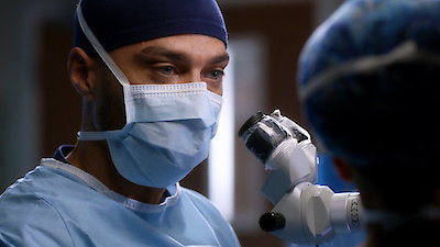 Grey's Anatomy Season 14 Episode 14