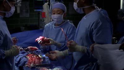 Grey's Anatomy Season 7 Episode 2