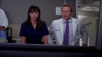 Grey's Anatomy Season 9 Episode 12