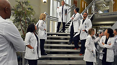 Grey's Anatomy Season 10 Episode 14