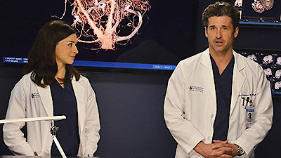 Grey's Anatomy Season 10 Episode 22