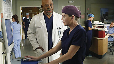 Grey's Anatomy Season 11 Episode 11