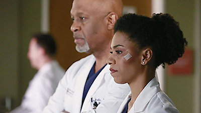 Grey's Anatomy Season 11 Episode 16