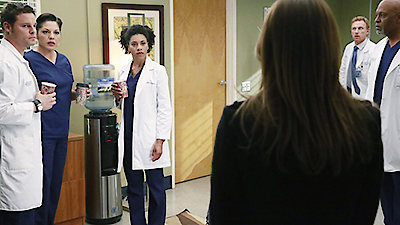 Grey's Anatomy Season 11 Episode 22