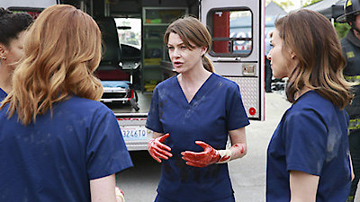Grey's Anatomy Season 11 Episode 23