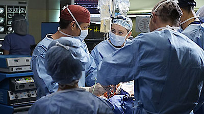 Grey's Anatomy Season 12 Episode 23