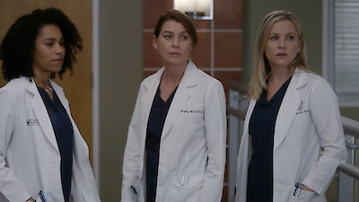 Grey's Anatomy Season 13 Episode 15